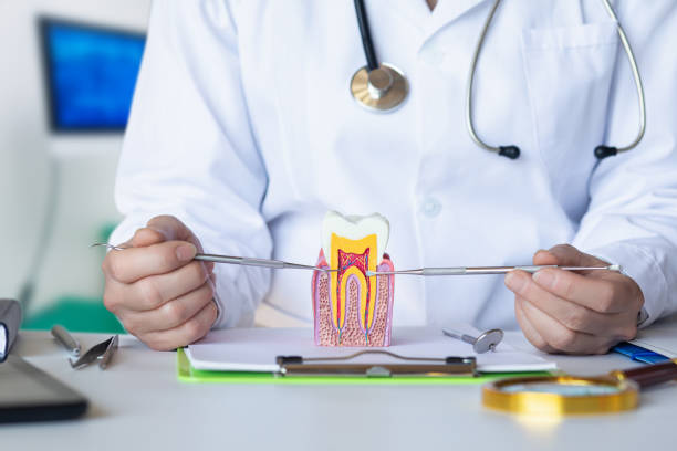 Best Cosmetic Emergency Dentistry in Holly Springs, MS